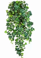 Kunstplant Cissus ellen danica (grape ivy)
