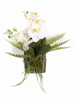 Kunstplant Phalaenopsis fern deco S