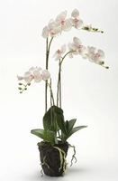 Kunstplant Phalaenopsis with moss pink soiled L