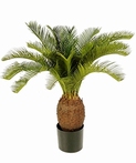 Kunstplant Cycas 70 cm